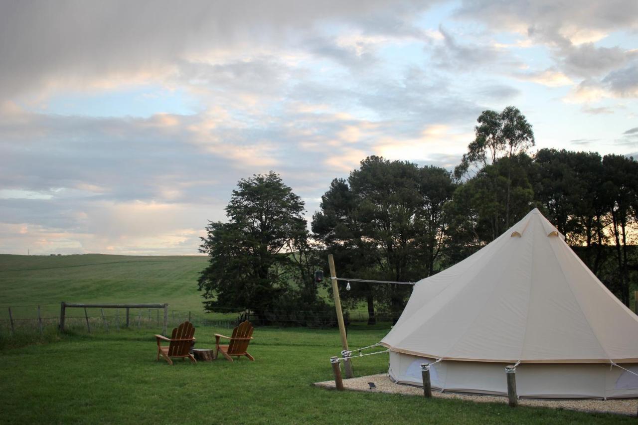 Pine Country Caravan Park Mount Gambier Εξωτερικό φωτογραφία