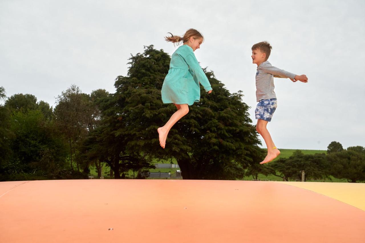 Pine Country Caravan Park Mount Gambier Εξωτερικό φωτογραφία
