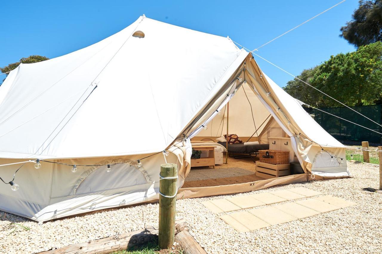 Pine Country Caravan Park Mount Gambier Εξωτερικό φωτογραφία